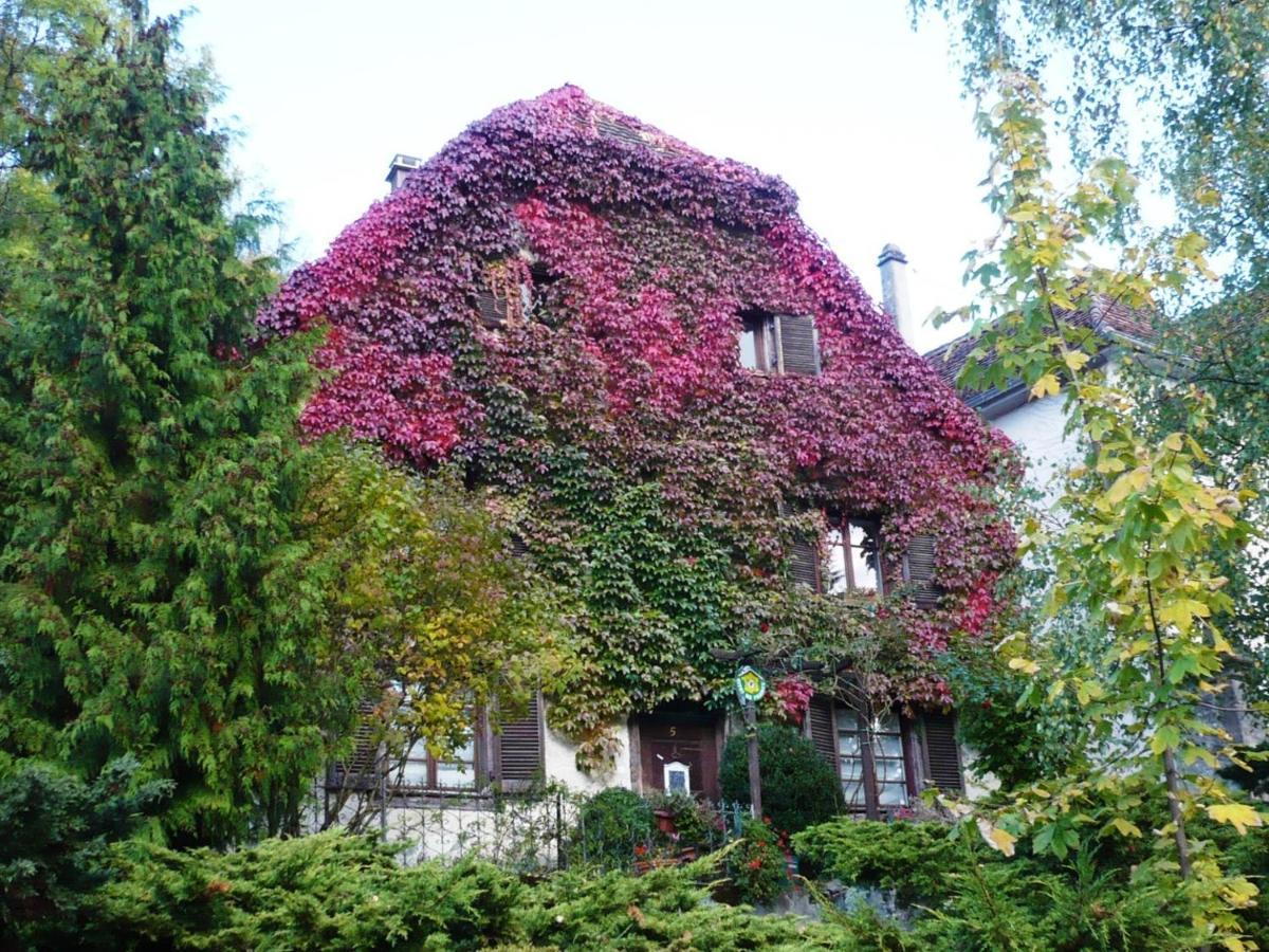 B&B De Charme La Maison Des 5 Temps Ferrette Zewnętrze zdjęcie