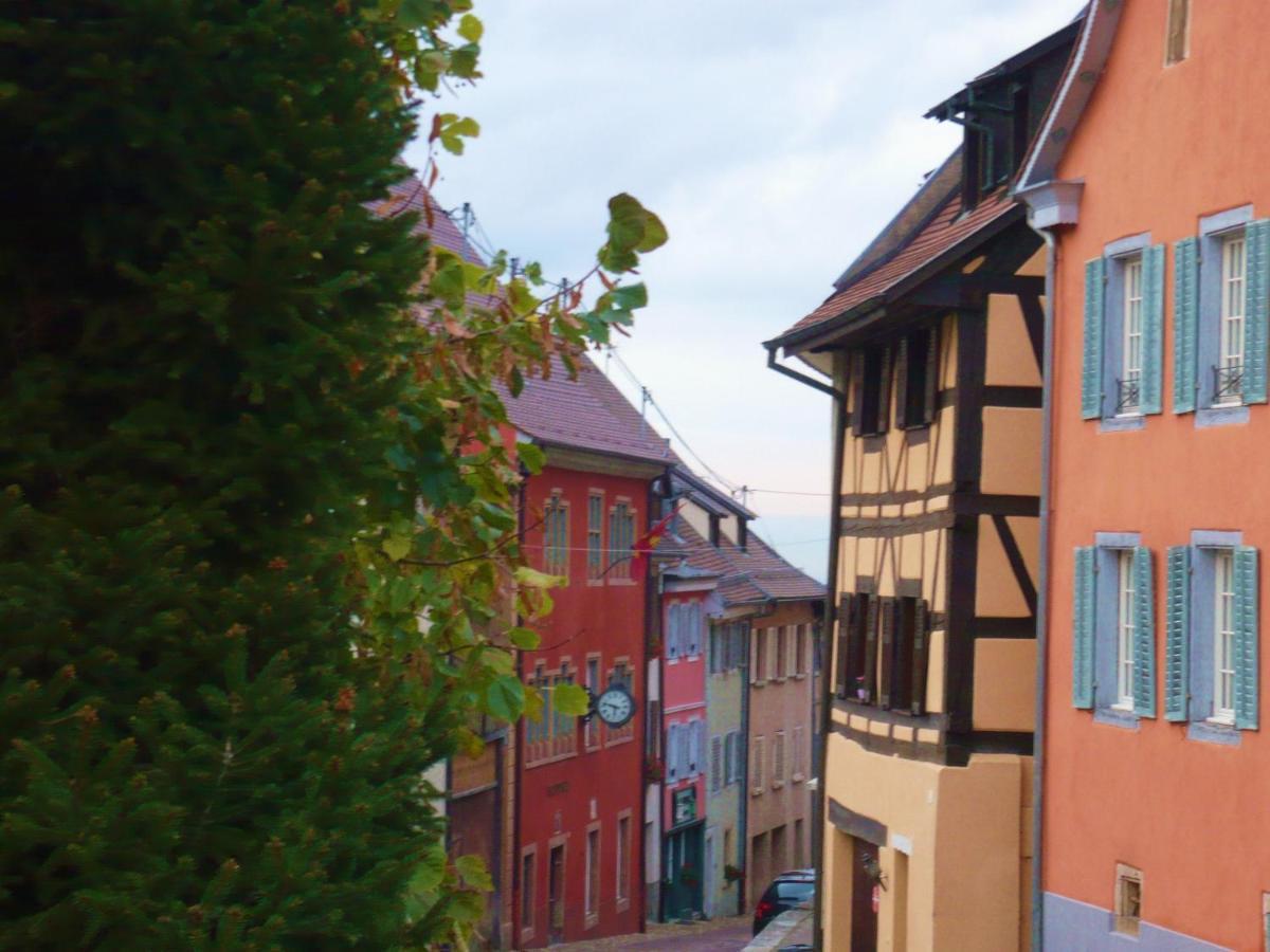 B&B De Charme La Maison Des 5 Temps Ferrette Zewnętrze zdjęcie