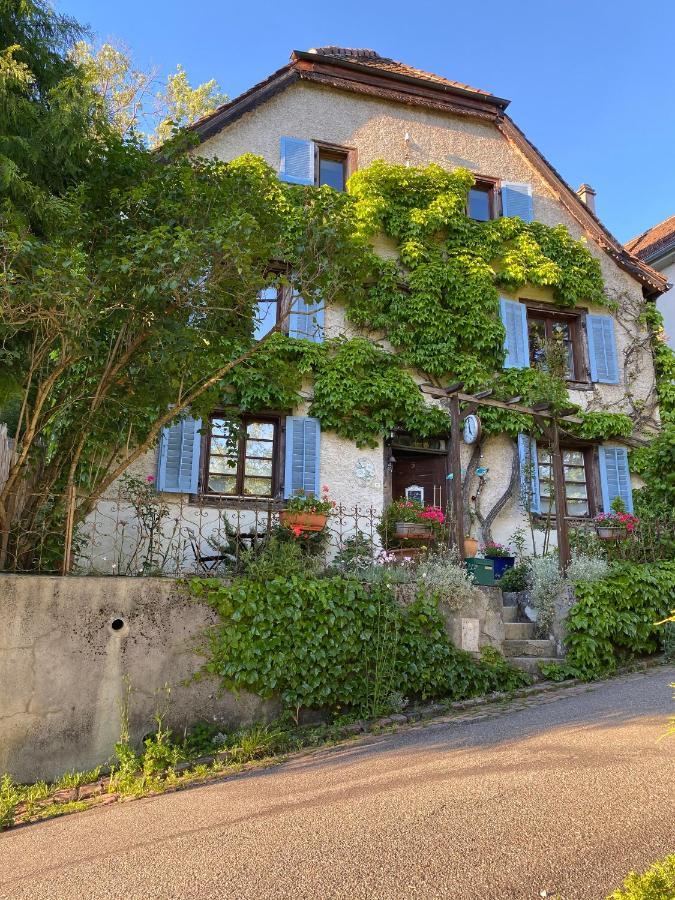 B&B De Charme La Maison Des 5 Temps Ferrette Zewnętrze zdjęcie