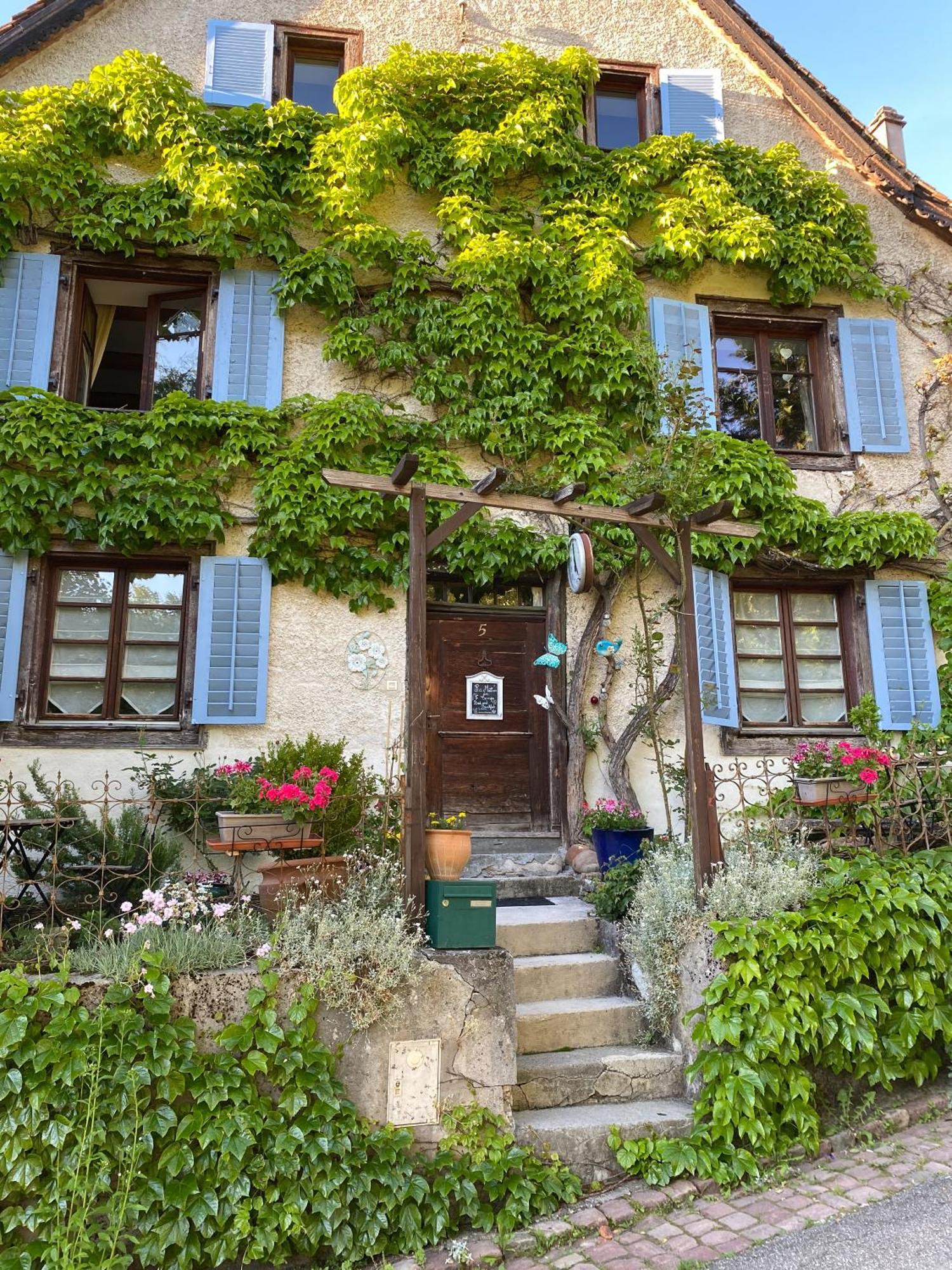 B&B De Charme La Maison Des 5 Temps Ferrette Zewnętrze zdjęcie
