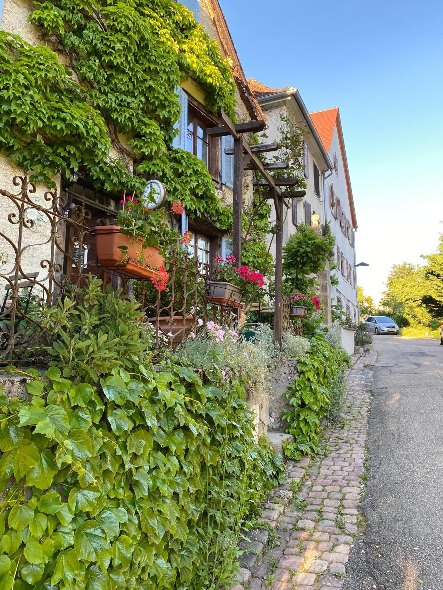 B&B De Charme La Maison Des 5 Temps Ferrette Pokój zdjęcie