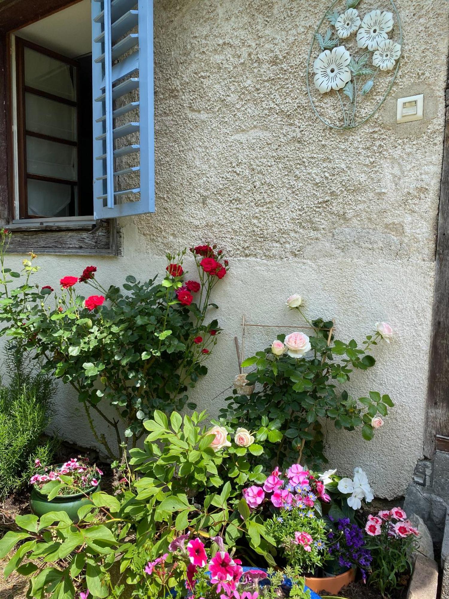 B&B De Charme La Maison Des 5 Temps Ferrette Pokój zdjęcie